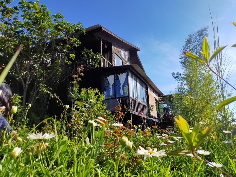 Đà Lạt luôn có những nhịp trầm đúng kiểu của xứ sở mộng mơ ảnh 6