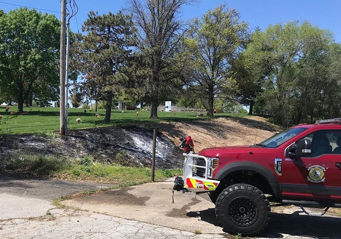 Rắn sống sót sau khi bị giật điện 12.000 volt ảnh 1