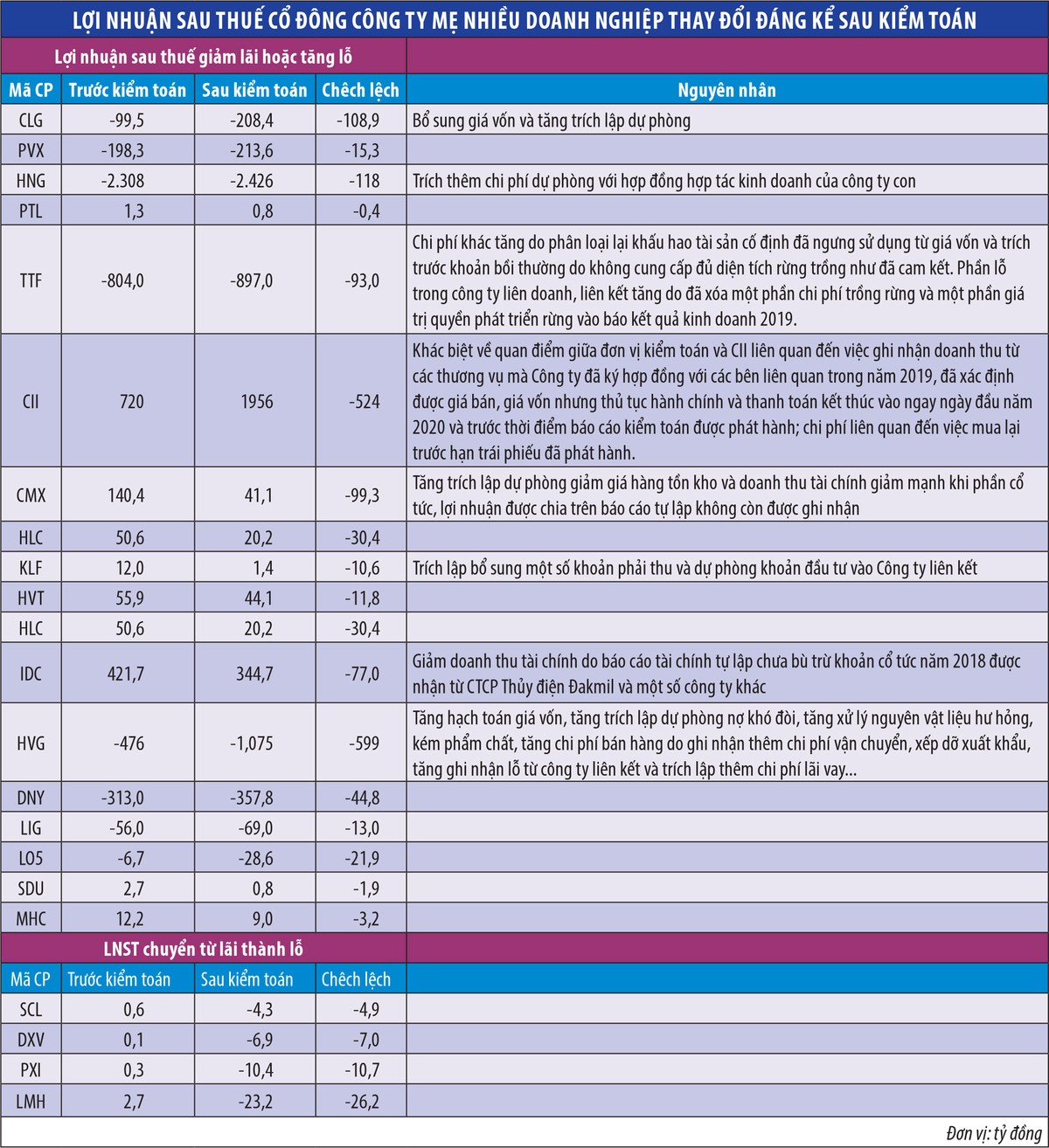 Chênh lệch số liệu kiểm toán gây lộn xộn thị trường ảnh 1