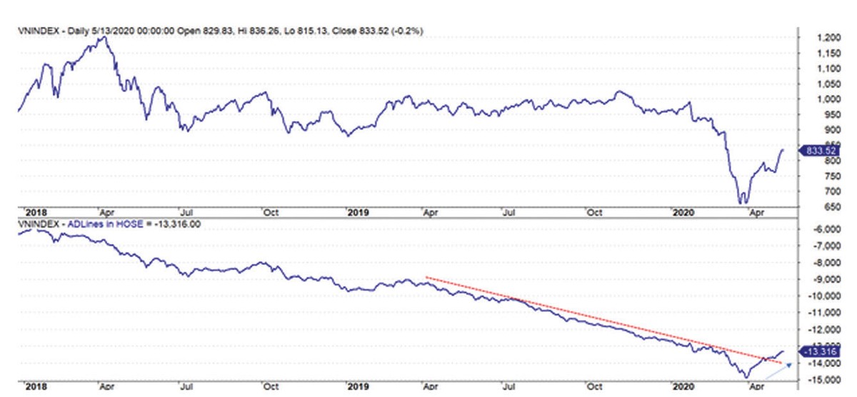 Sắc màu của tiền mới ảnh 3