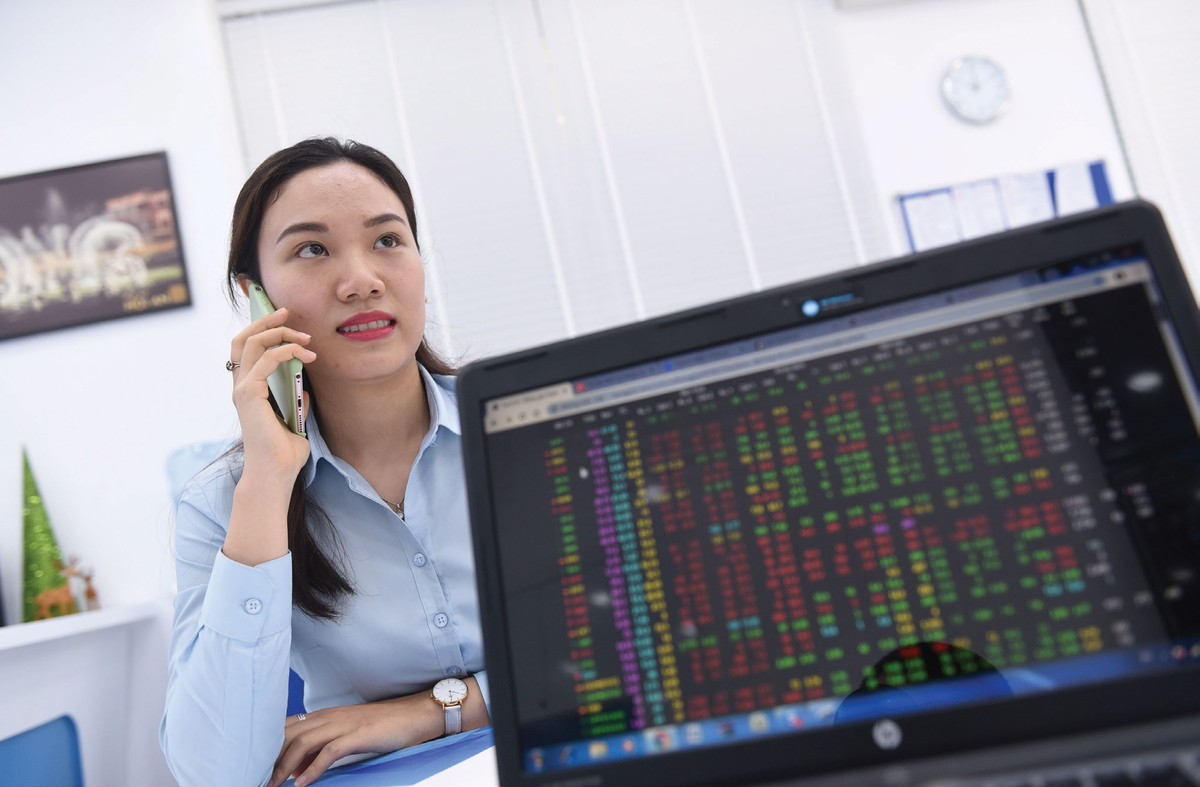 Dòng tiền của nhà đầu tư mới: Mạnh và thông minh ảnh 2