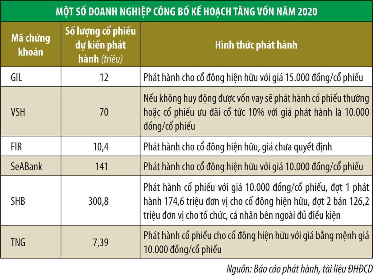Doanh nghiệp trông vào cổ đông hiện hữu để tăng vốn ảnh 1