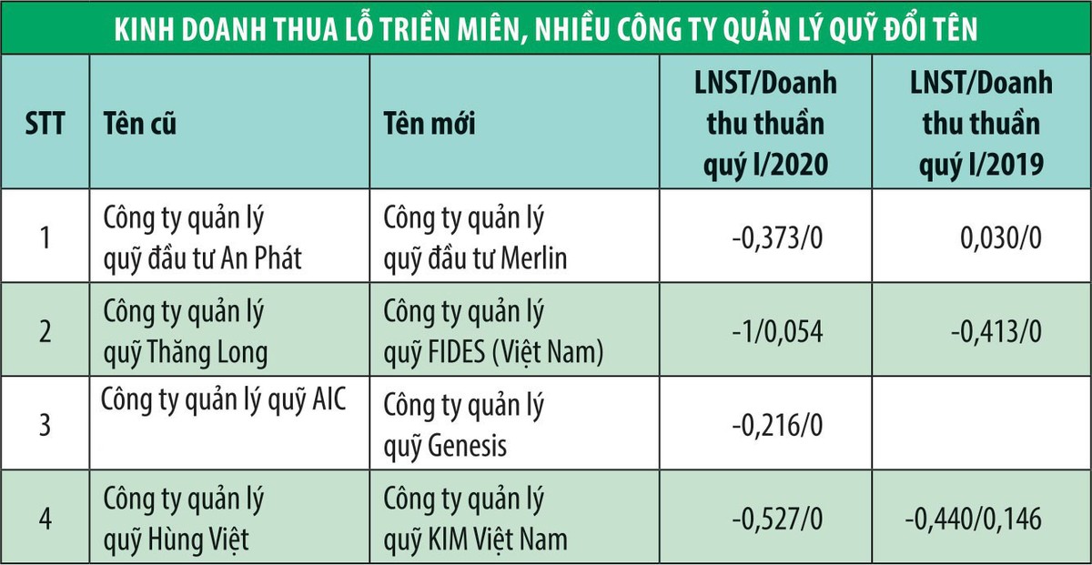 Công ty quản lý quỹ: Tên mới, hiệu quả có mới?  ảnh 1