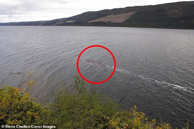 Vô tình khách du lịch chụp được bức ảnh rõ nét nhất chứng minh sự tồn tại của quái vật hồ Loch Ness ảnh 1