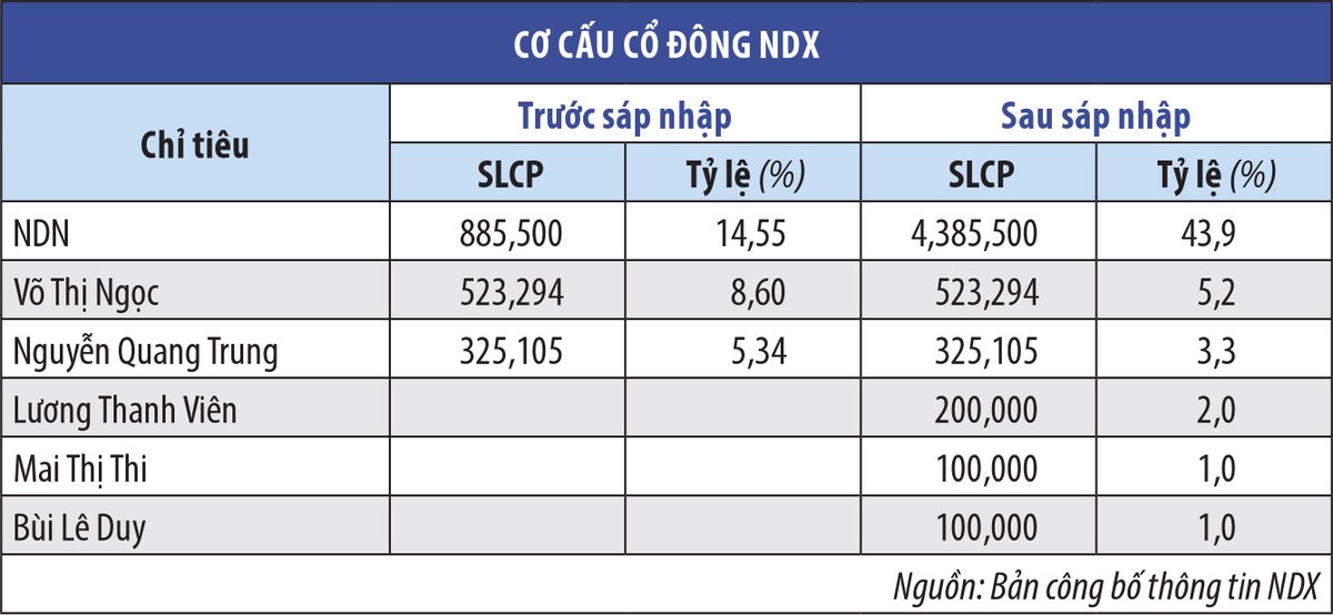 Khoảng trống doanh thu của Ðầu tư phát triển nhà Ðà Nẵng (NDN) sau năm 2020 ảnh 1
