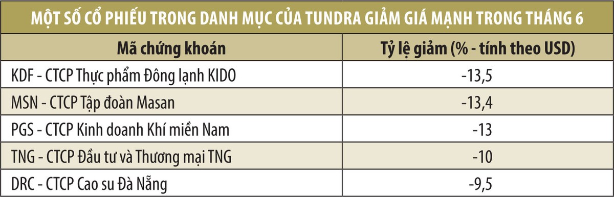 Hiệu suất tại Việt Nam của Quỹ Tundra kém nhất trong tháng 6 ảnh 1