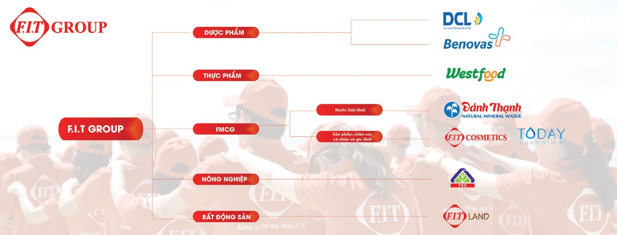 FIT - Xây dựng giấc mơ doanh nghiệp tỷ đô  ảnh 1