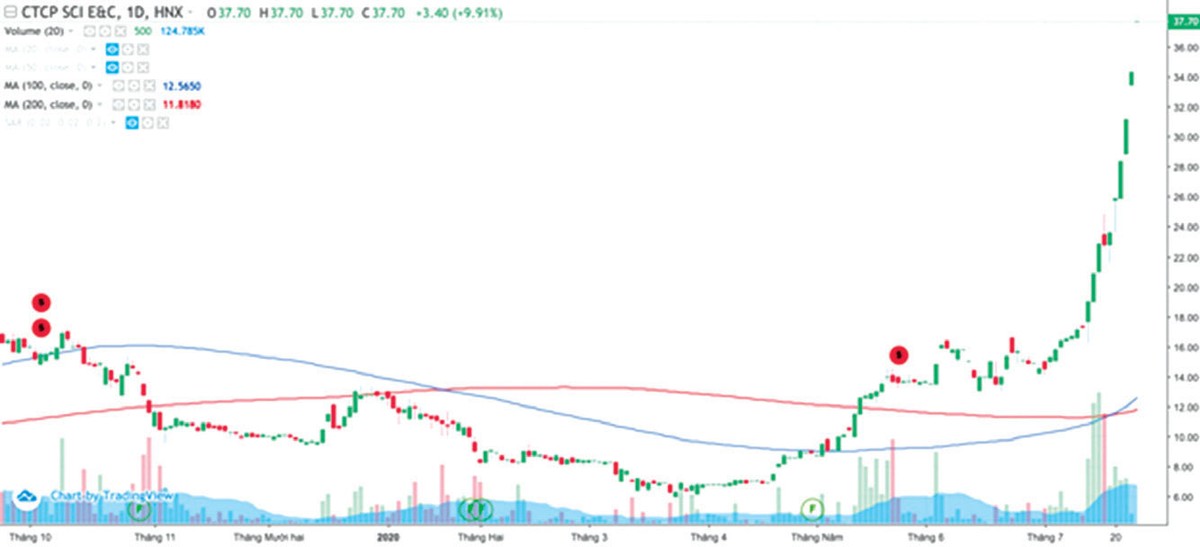 Giải mã biến động giá cổ phiếu SCI ảnh 1