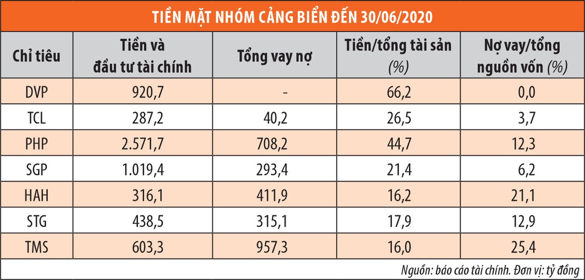 Cổ phiếu cảng biển, tìm cơ hội trong thách thức ảnh 2