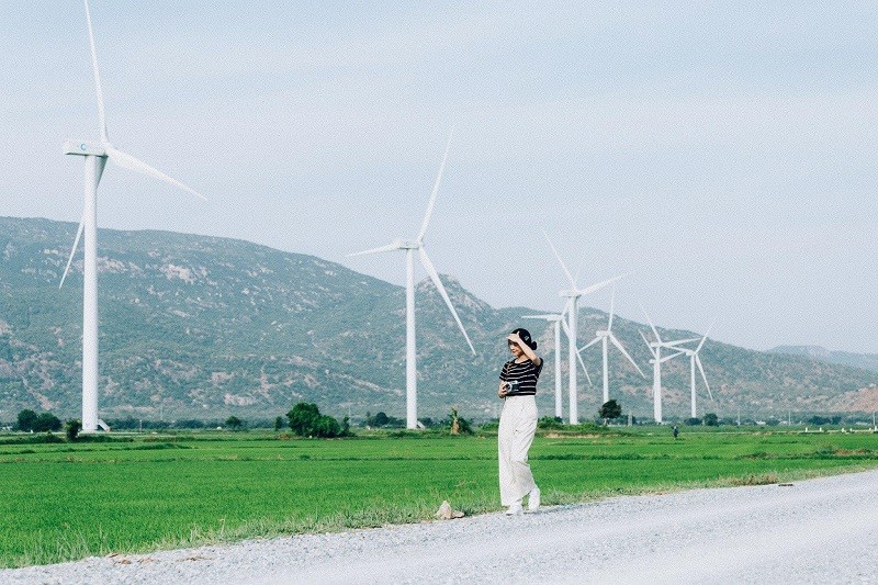 Nhà máy điện gió Đầm Nại xây dựng tại thôn Láng Me, xã Bắc Sơn, huyện Thuận Bắc, tỉnh Ninh Thuận, với diện tích 9.6 ha.