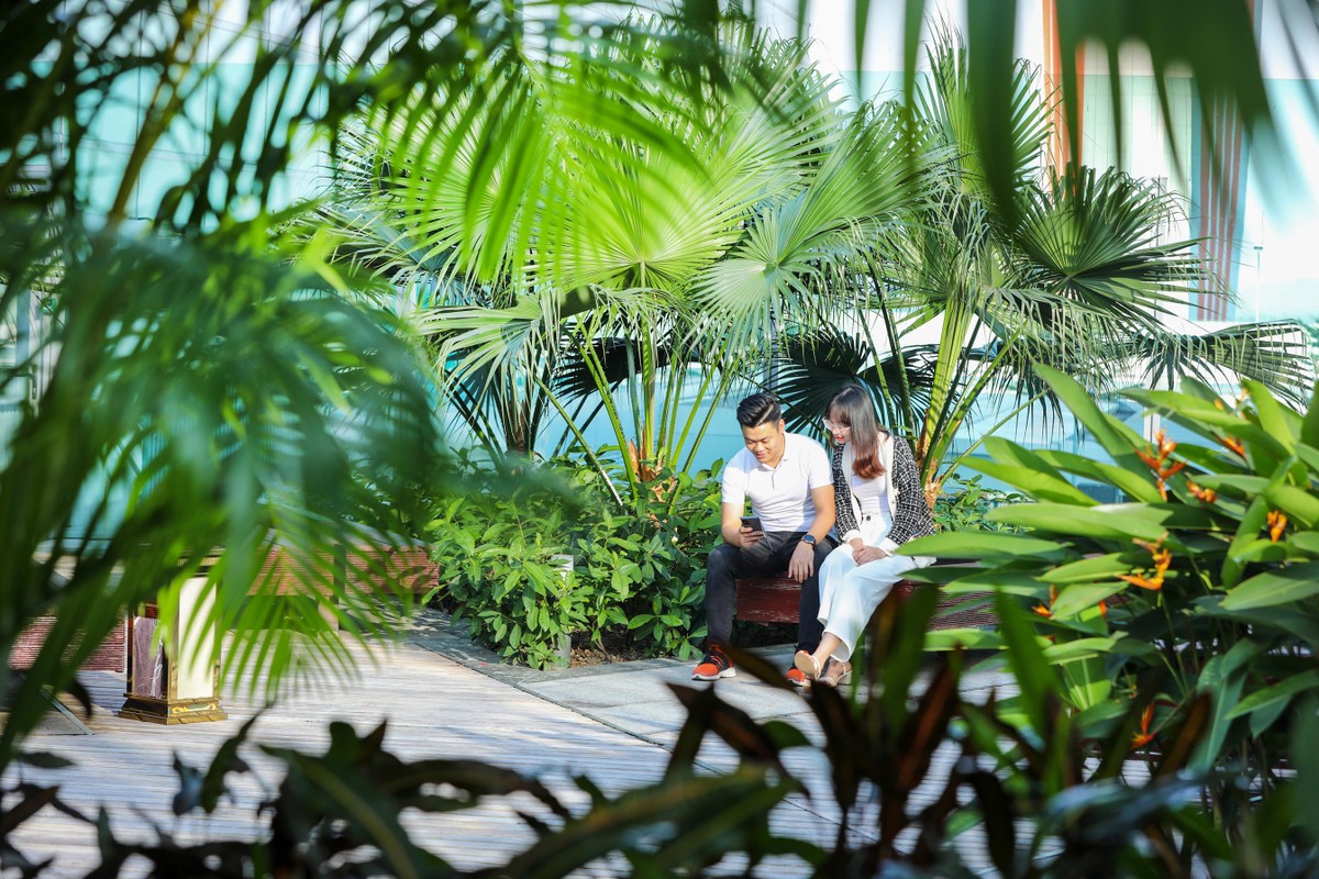 Vườn treo rộng 400m2, được thiết kế tại cả sảnh chờ quốc tế và quốc nội là nơi check – in của đông đảo hành khách, biến khoảng thời gian đợi chờ làm thủ tục thành trải nghiệm sinh thái thư giãn tuyệt đối. Hiện trên thế giới chỉ duy nhất sân bay Changi có khu vực này. “Bay khắp các sân bay ở Việt Nam rồi mà tôi chưa thấy nơi nào có không gian sinh thái xanh như sân bay Vân Đồn”, anh Đỗ Tiến Định (Nam Định) – hành khách đang chờ chuyến bay Vân Đồn - TP.HCM, chia sẻ.