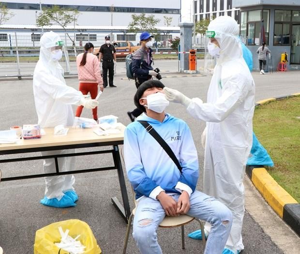 Lấy mẫu xét nghiệm cho công nhân Công ty Best Pacific thuộc Khu công nghiệp Lương Điền - Cẩm Điền, huyện Cẩm Giàng. (Ảnh: Mạnh Tú/TTXVN).