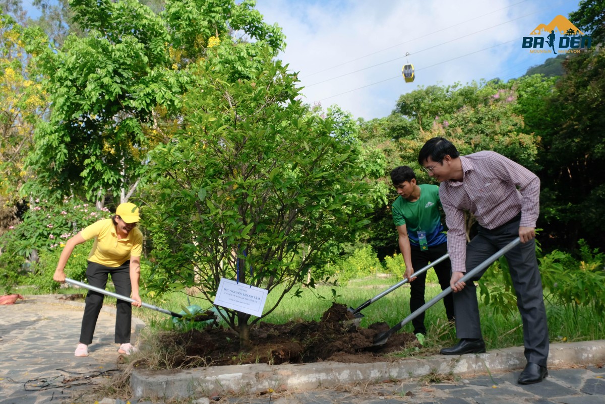 Cũng trong khuôn khổ giải chạy, sáng 24/4, lãnh đạo tỉnh Tây Ninh cùng Tập đoàn Sun Group, đơn vị tổ chức và các đại sứ đã trồng hơn 140 cây xanh tại Lễ phát động trồng cây, góp phần phủ xanh màu áo núi Bà Đen.