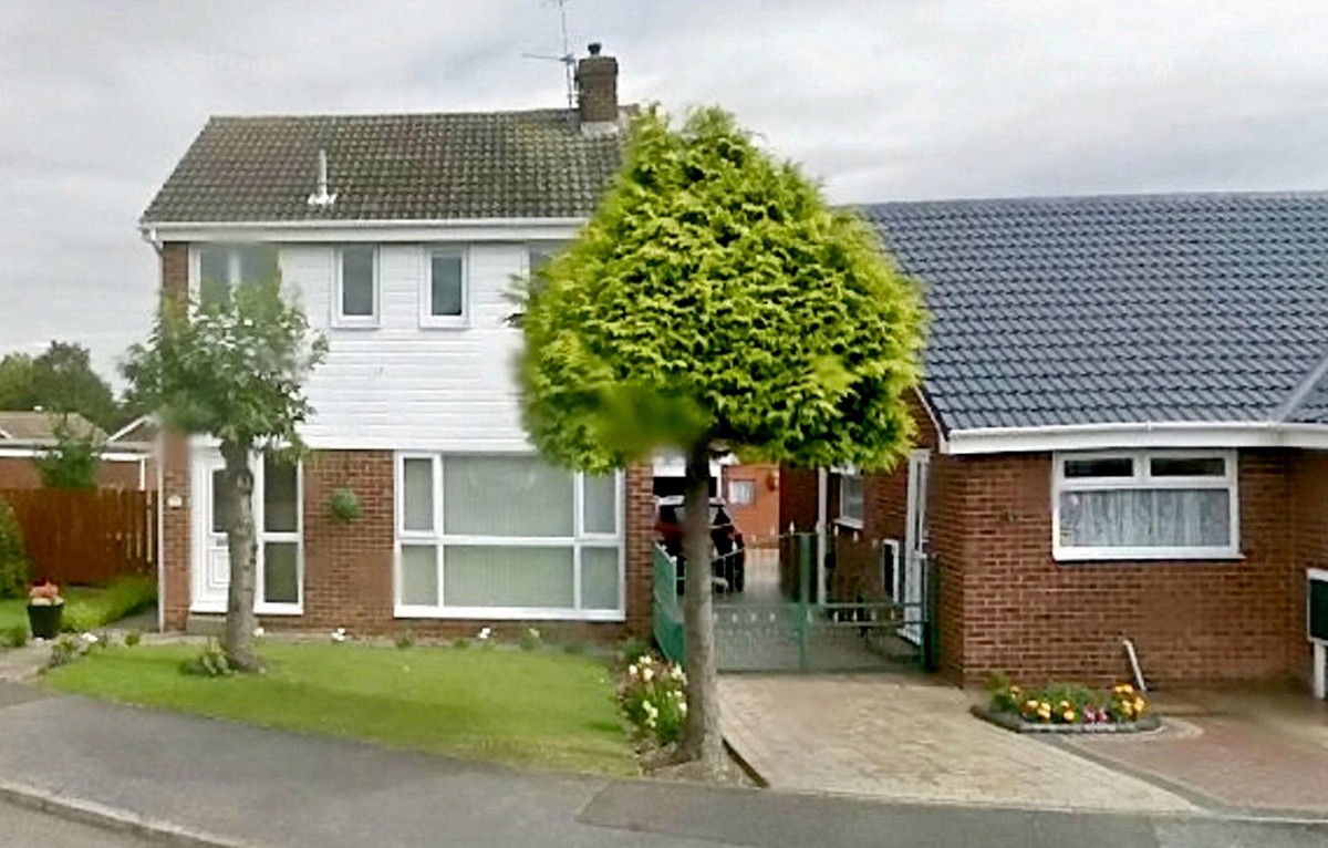 Chiếc cây khi còn nguyên vẹn, trông cũng nhỏ nhắn, đang yêu.