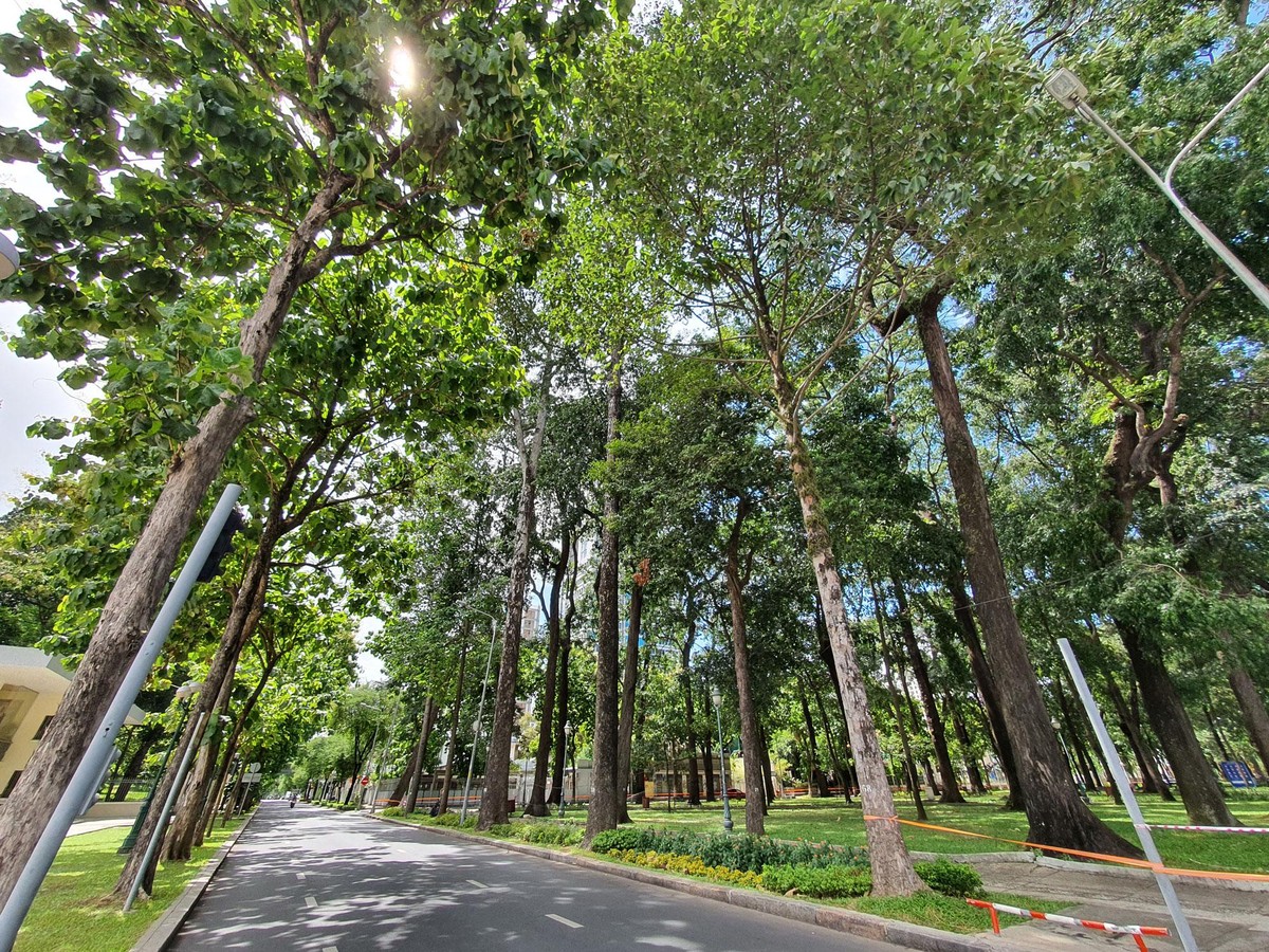 Đường Nam Kỳ Khởi Nghĩa,Q1 vắng vẻ. Đường Nam Kỳ Khởi Nghĩa,Q1 vắng vẻ.