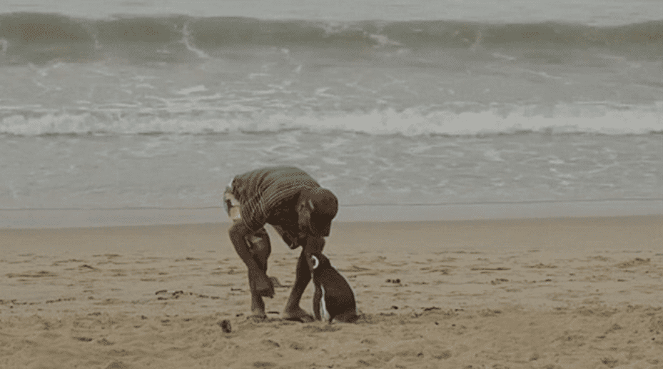 Dindim rất hay đi tắm biển cùng ông Pereira de Souza. Dindim rất hay đi tắm biển cùng ông Pereira de Souza.