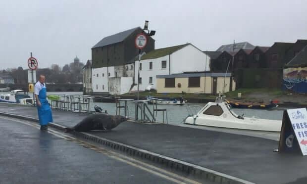 Ăn no xong thì Sammy đi về.