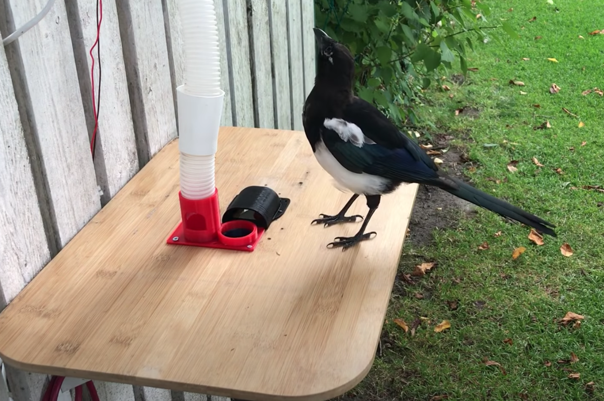 Nhét vỏ chai vào xong thì chờ đợi thức ăn được trả lại.