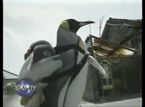 Đương nhiên Vua thì phải có thần thái riêng, không giống ai rồi.