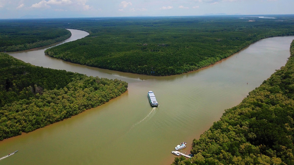 Cách TP.HCM khoảng 50 km, Cần Giờ như “lá phổi xanh” với những thảm rừng đước bạt ngàn và không khí trong lành.