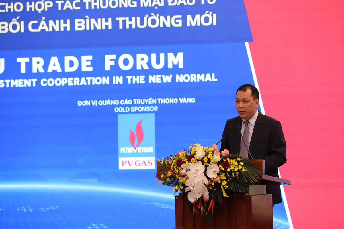 Thứ trưởng Bộ Công Thương Đặng Hoàng An phát biểu tại Diễn đàn Thứ trưởng Bộ Công Thương Đặng Hoàng An phát biểu tại Diễn đàn