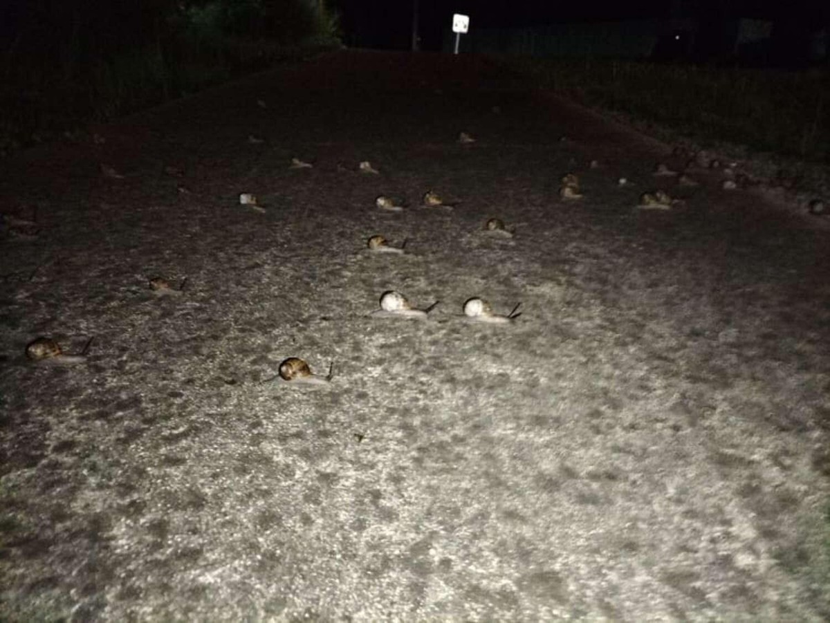 Trông có vẻ gay cấn nhưng để kết thúc cuộc đua này chắc sẽ mất rất nhiều thời gian. Trông có vẻ gay cấn nhưng để kết thúc cuộc đua này chắc sẽ mất rất nhiều thời gian.