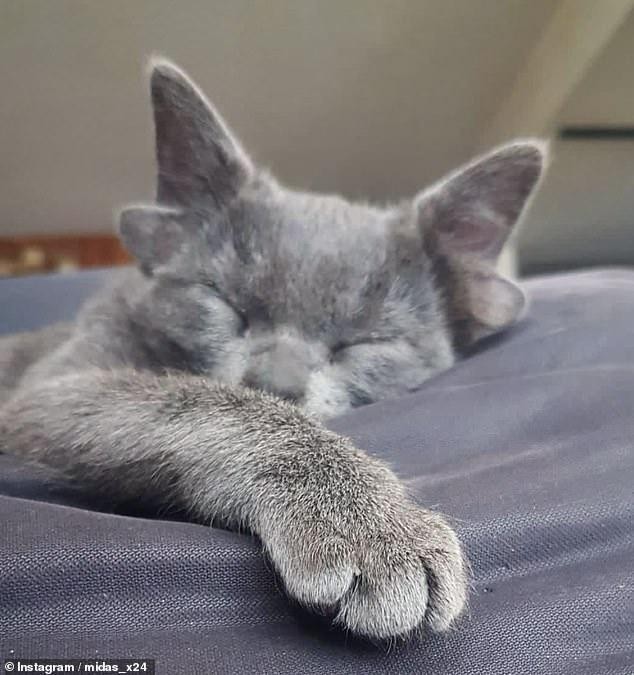 Nằm ngủ thôi cũng đã thấy đáng yêu.