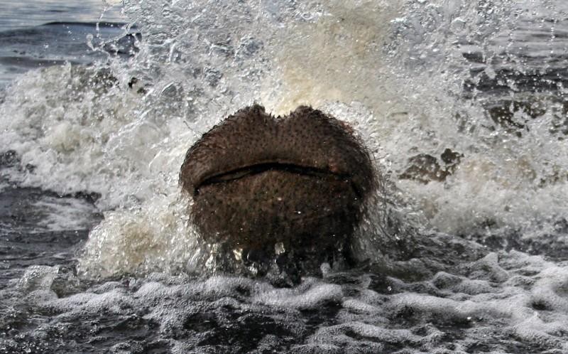 May mắn đã không có hậu quả nào đáng tiếc xảy ra.