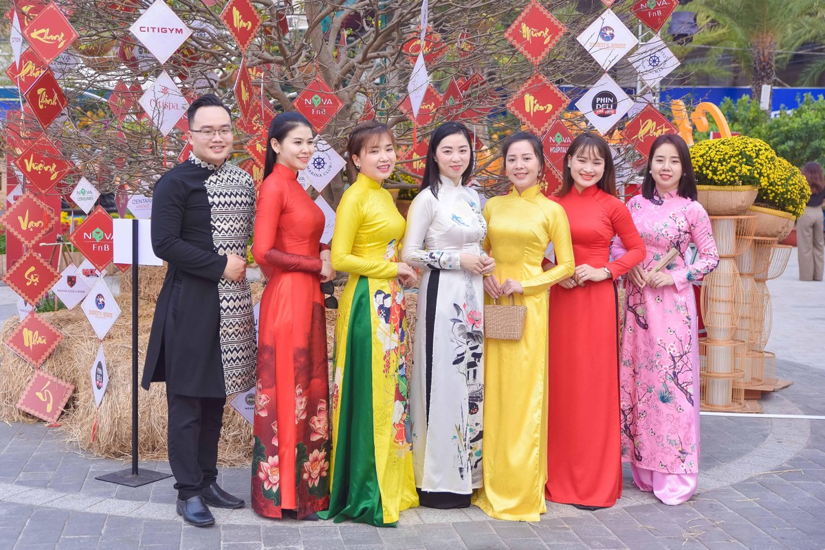 Lưu lại khoảnh khắc ngày xuân bên gốc mai già.