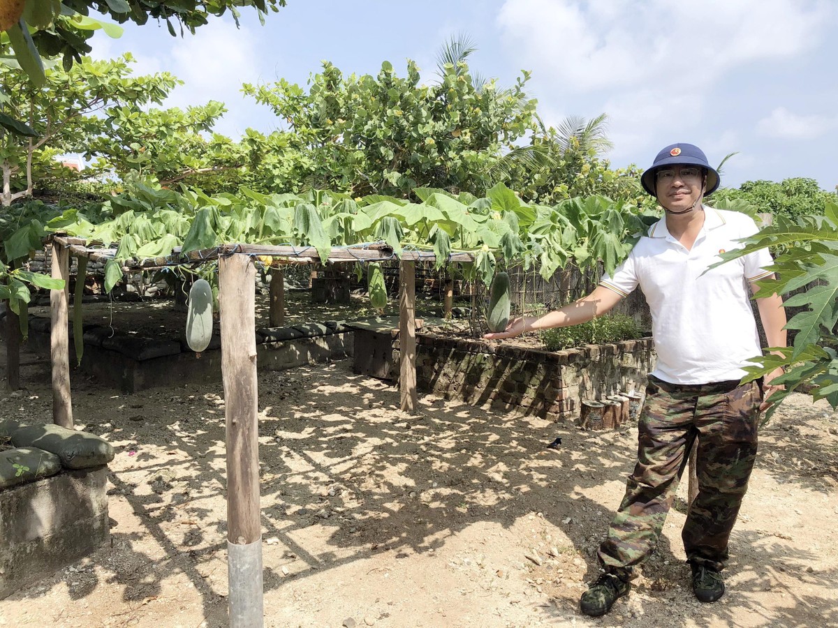 Vườn rau tại đảo Trường Sa Đông. Vườn rau tại đảo Trường Sa Đông.