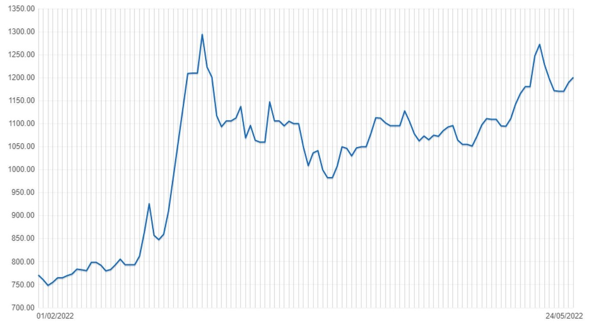 Diễn biến giá lúa mì thế giới từ đầu tháng 2/2022 đến nay (Đơn vị: UScents/BU). Nguồn: Bloomberg, US Department of Argriculture, World Bank.