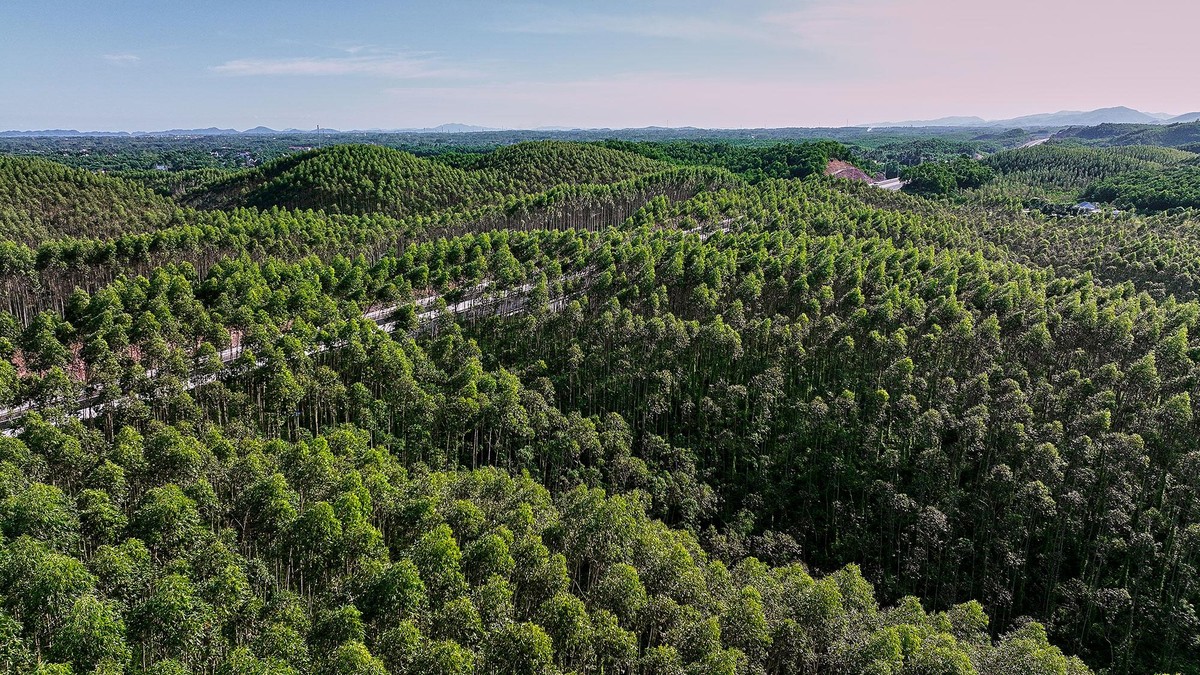 Cũng theo đối tác tư vấn TEDI, đây là dự án có tỉ suất đầu tư hợp lý nhưng vẫn đảm bảo chất lượng tốt. Đặc biệt trong bối cảnh suốt hai năm thi công, dự án trải qua bốn đợt covid 19 và tình trạng giá nguyên vật liệu lên cao, điều kiện thời tiết khắc nghiệt với những tháng mùa mưa kéo dài tới 20 ngày. Cũng theo đối tác tư vấn TEDI, đây là dự án có tỉ suất đầu tư hợp lý nhưng vẫn đảm bảo chất lượng tốt. Đặc biệt trong bối cảnh suốt hai năm thi công, dự án trải qua bốn đợt covid 19 và tình trạng giá nguyên vật liệu lên cao, điều kiện thời tiết khắc nghiệt với những tháng mùa mưa kéo dài tới 20 ngày.
