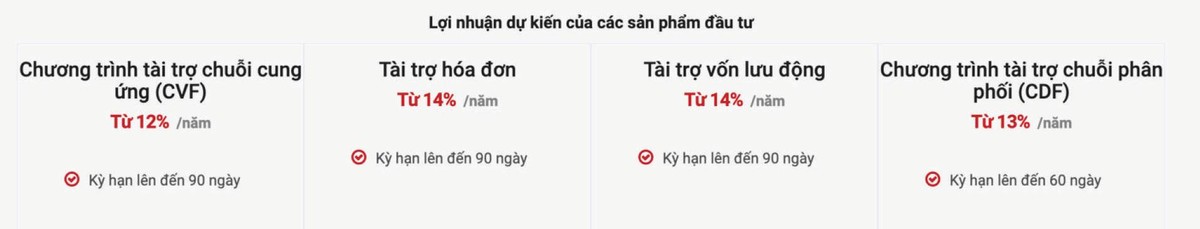 Một số sản phẩm được Validus giới thiệu tới nhà đầu tư.