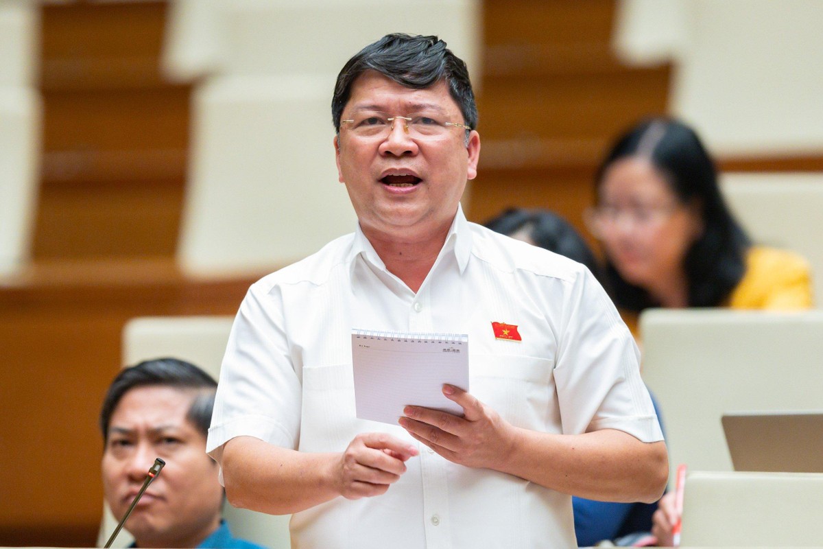 Đại biểu Tạ Văn Hạ (Quảng Nam).