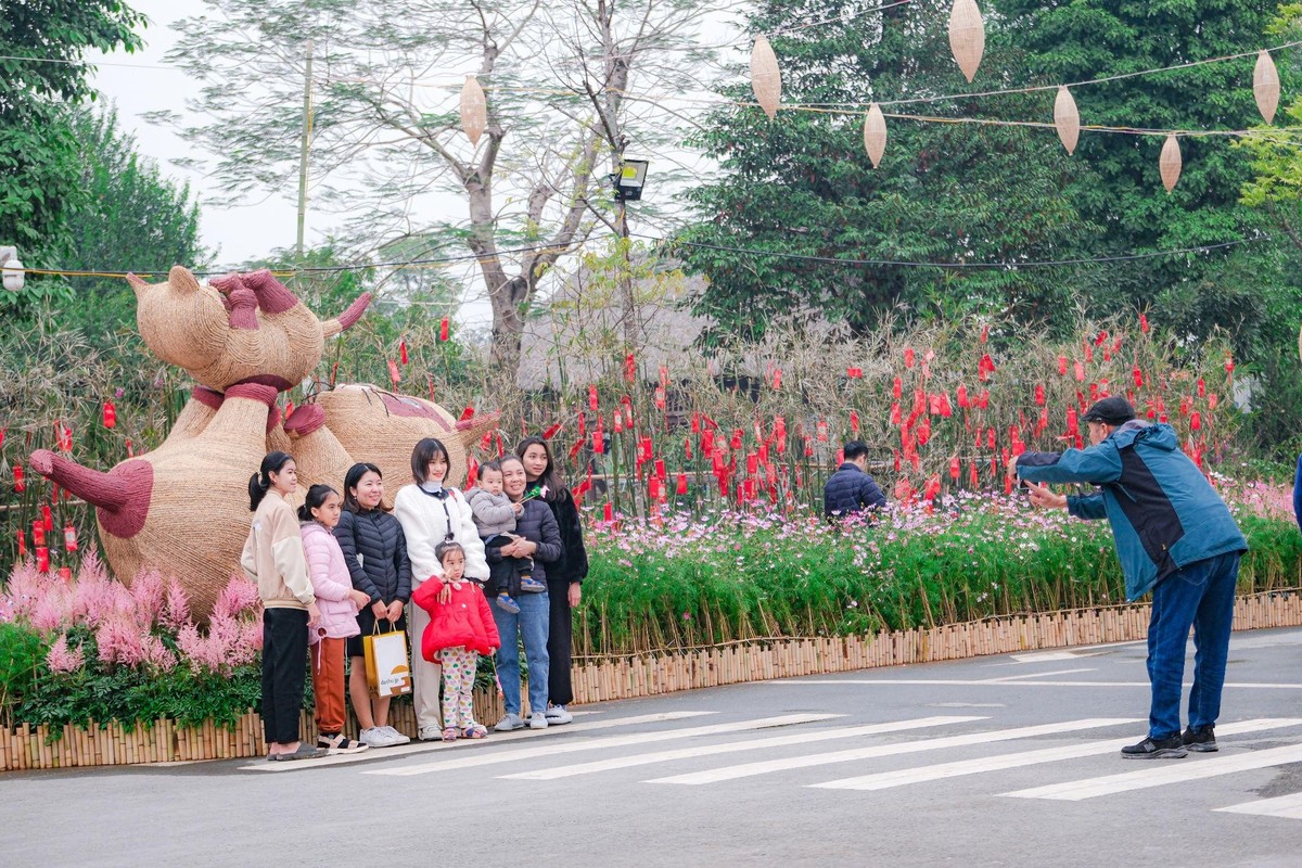 Đường hoa Home Hanoi Xuan 2023 quy tụ nhiều loại cây hoa từ các vùng miền của Việt Nam như cánh đồng lúa chín từ Đồng Tháp Mười, hoa cải vàng miền Bắc. Tất cả tạo nên bức tranh hoa rực rỡ ngày xuân và cũng là không gian “diệu kỳ” mà Home Hanoi Xuan 2023 mong muốn mang tới cho du khách. Anh Đỗ Trung Anh (33 tuổi) chia sẻ: “Dịp Tết này, một trong những địa điểm du xuân của gia đình tôi là đường hoa Home Hanoi Xuan 2023. Các bạn nhỏ nhà tôi rất thích thú khi được ngắm nhìn và chụp ảnh với nhiều cây hoa với đủ loại sắc màu. Đặc biệt, điều khiến tôi ấn tượng là đường hoa Home Hanoi Xuan 2023 còn có những loại cây hiếm có ở miền Bắc thời điểm này”.