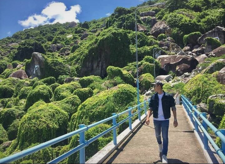 Lạc giữa triền xanh.