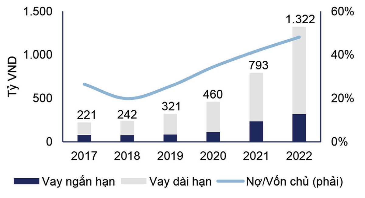 Cơ cấu nợ vay của HAH.
