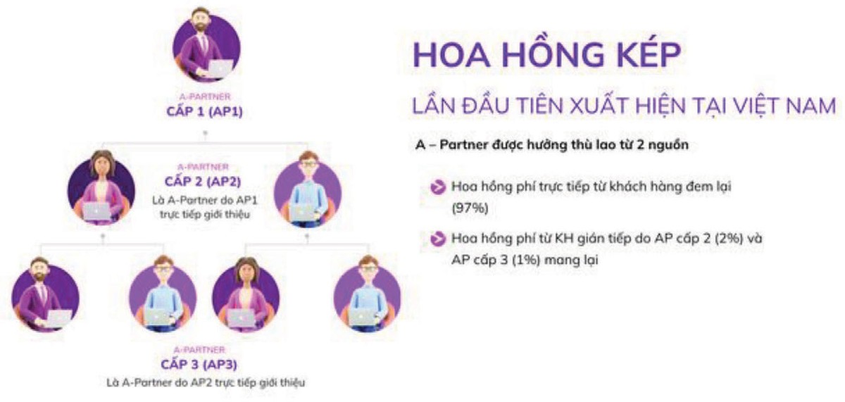 Giới thiệu về hoa hồng của chương trình A - Partner tại ABS.