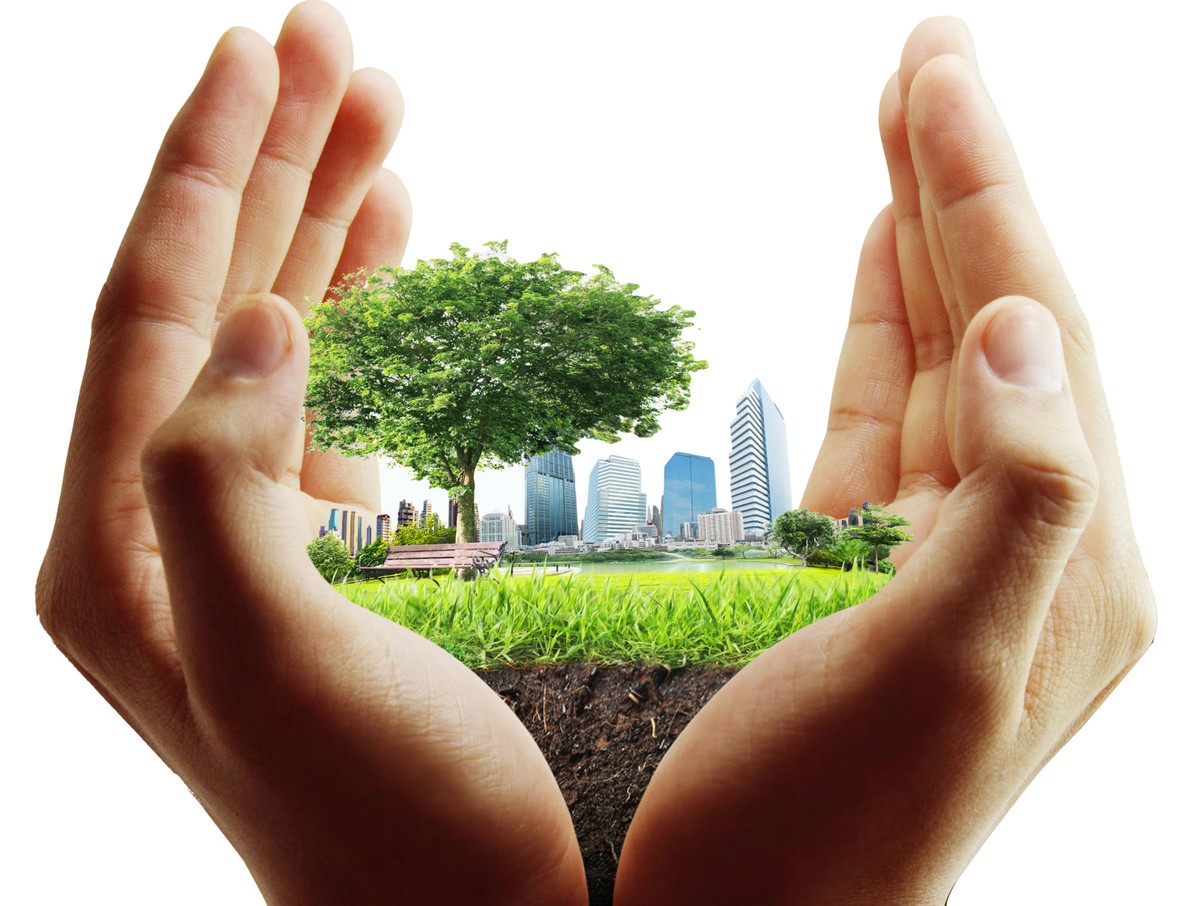 Để nền kinh tế sôi động hơn, cần “vỗ bằng hai bàn tay” chính sách tiền tệ và tài khóa. Để nền kinh tế sôi động hơn, cần “vỗ bằng hai bàn tay” chính sách tiền tệ và tài khóa.