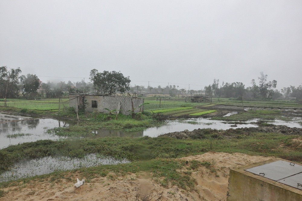 Các dự án của Công ty Bách Đạt An đã hết tiến độ thực hiện.