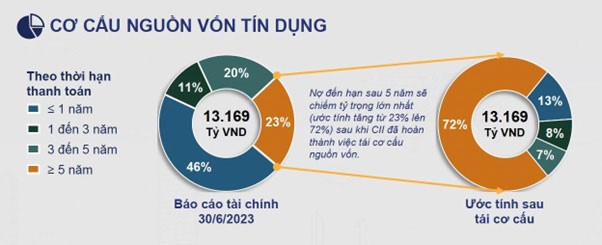 Kế hoạch cơ cấu nguồn vốn tín dụng của CII.