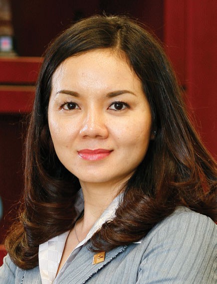 Năm 2017, DPM đã tiếp hơn 100 lượt nhà đầu tư ngoại tìm hiểu thông tin ảnh 1