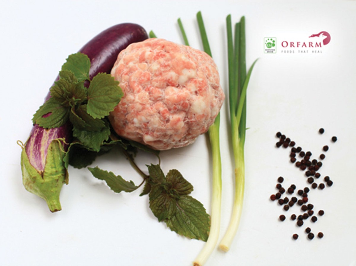 8 ý tưởng kinh doanh thân thiện với môi trường ảnh 3