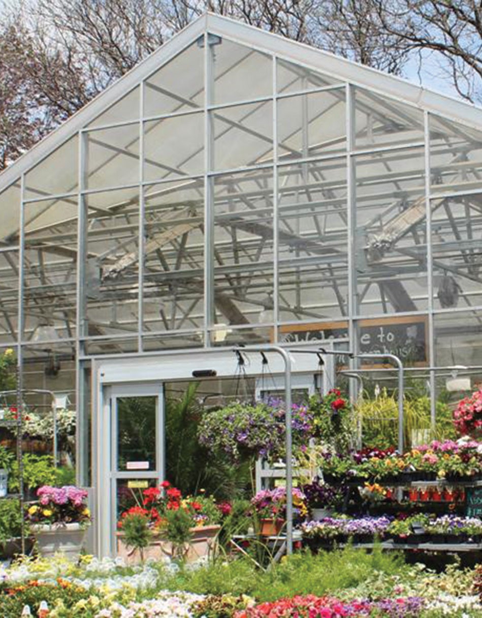 8 ý tưởng kinh doanh thân thiện với môi trường ảnh 6