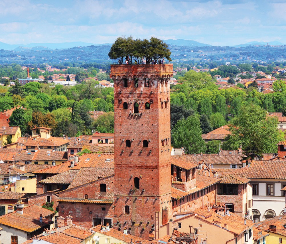 Vườn trên cao xu hướng được ưa chuộng ảnh 1