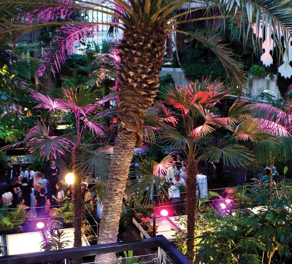 Vườn trên cao xu hướng được ưa chuộng ảnh 4