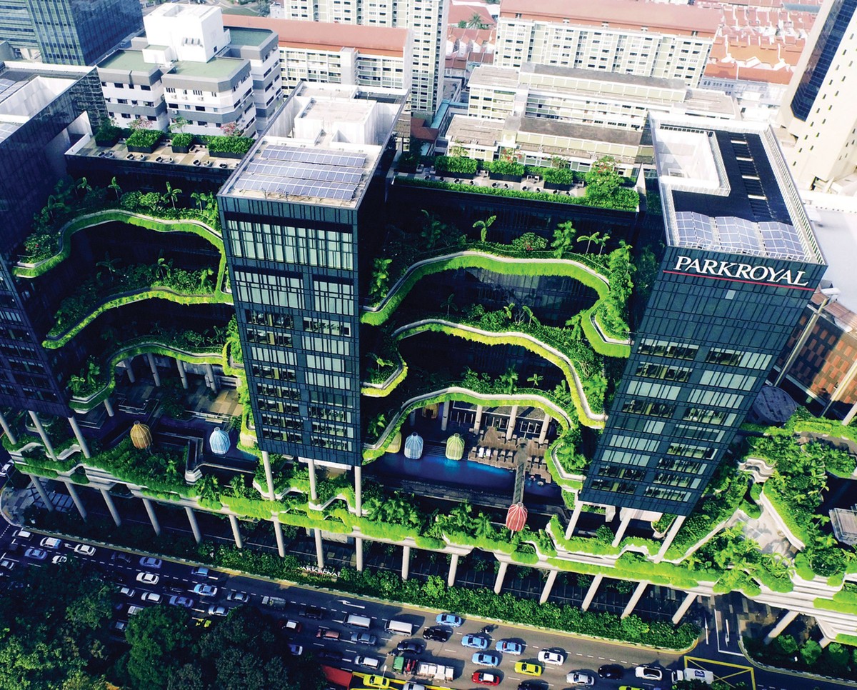 Vườn trên cao xu hướng được ưa chuộng ảnh 6