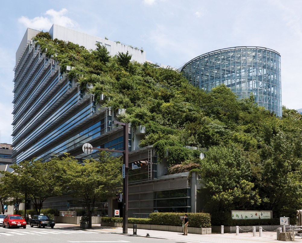 Vườn trên cao xu hướng được ưa chuộng ảnh 7