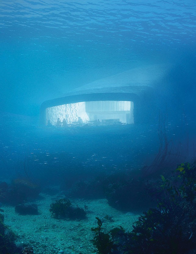 Những dự án được chờ đợi nhất năm 2019 ảnh 3