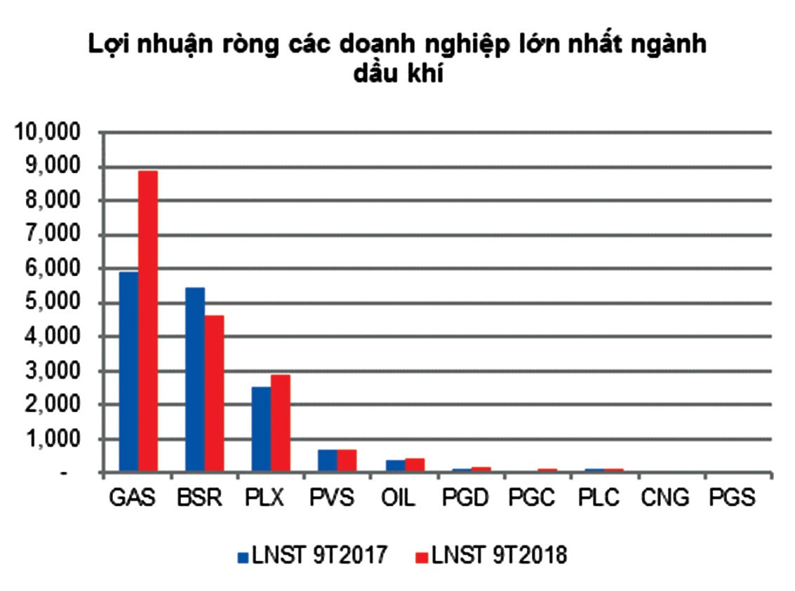 Triển vọng ngành dầu khí 2019: Vẫn sáng ảnh 2